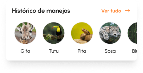 Exemplo de tela do aplicativo